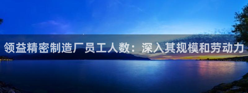 新版彩神v8登录教程：领益精密制造厂员工人数：深入其规模和劳动力