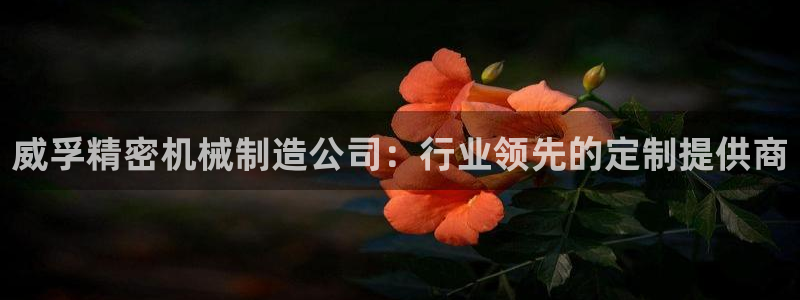 彩神v8首页：威孚精密机械制造公司：行业领先的定制提供商