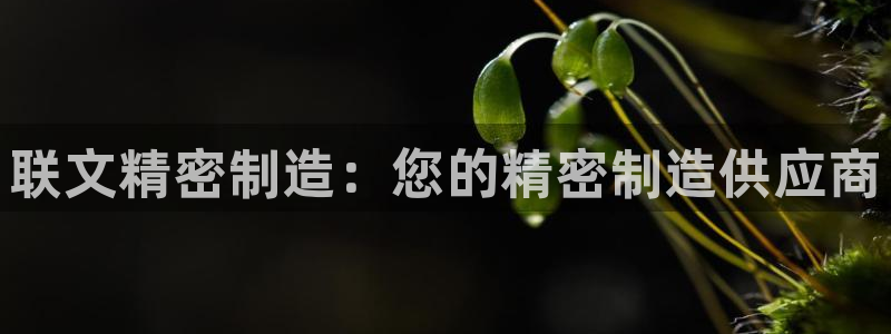 彩神到底能不能赚钱：联文精密制造：您的精密制造供应商