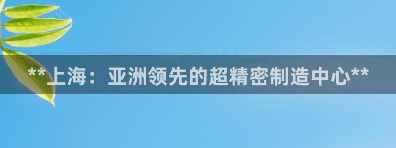彩神iv争霸购彩大厅：**上海：亚洲领先的超精密制造中心**