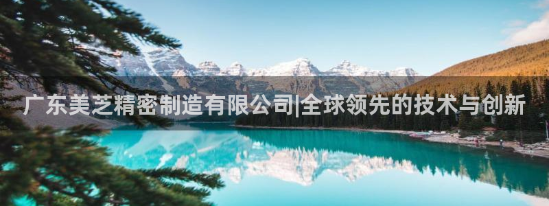 彩神v下载安装：广东美芝精密制造有限公司|全球领先的技术与创新