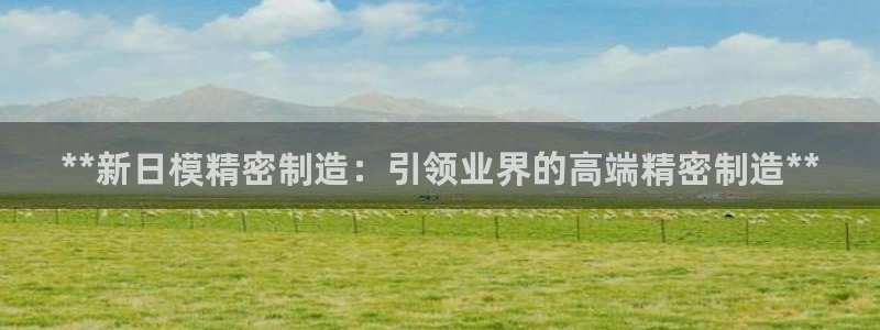 彩神viii是正规平台吗?：**新日模精密制造：引领业界的高端精密制造**
