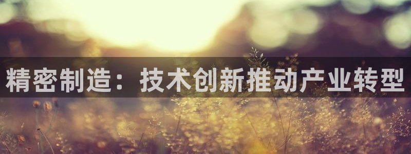 彩神购彩-购彩大厅入口下载：精密制造：技术创新推动产业转型