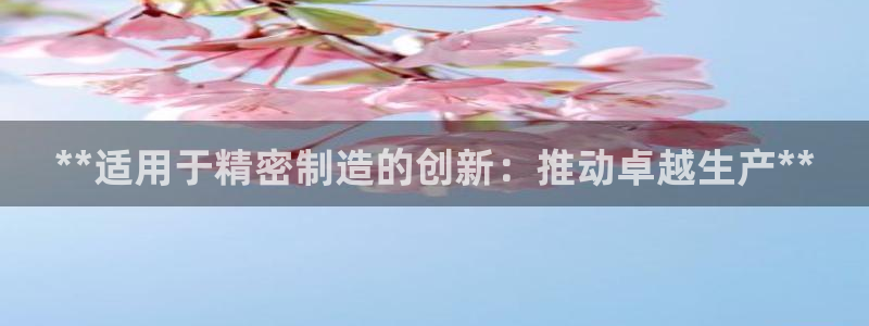 彩神购彩-购彩大厅入口500：**适用于精密制造的创新：推动卓越生产**