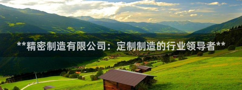 彩神v8手机客户端：**精密制造有限公司：定制制造的行业领导者**