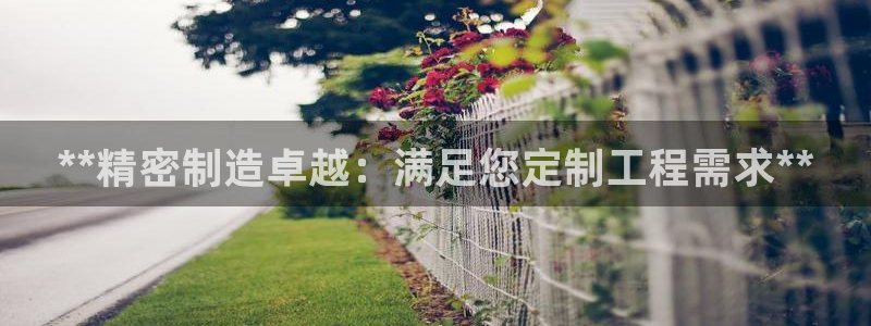 彩神vll购彩大厅大众