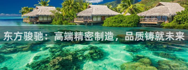 彩神vllⅰ购彩大厅：东方骏驰：高端精密制造，品质铸就未来