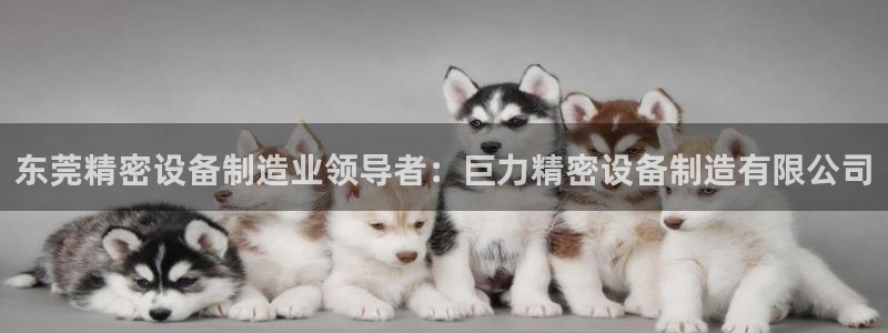 天天彩神welcome：东莞精密设备制造业领导者：巨力精密设备制造有限公司