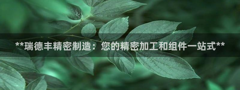 彩神官方邀请码是多少：**瑞德丰精密制造：您的精密加工和组件一站式**