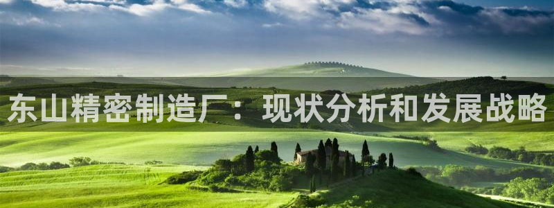彩神是什么平台：东山精密制造厂：现状分析和发展战略
