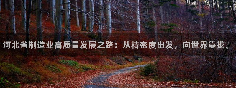大发彩神官网下载：河北省制造业高质量发展之路：从精密度出发，向世界靠拢。