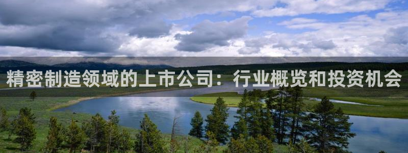 彩神v8官网版：精密制造领域的上市公司：行业概览和投资机会