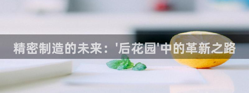 彩神ⅴll是什么样平台：精密制造的未来：\'后花园\'中的革新之路