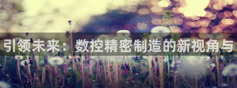 彩神v破解版：引领未来：数控精密制造的新视角与