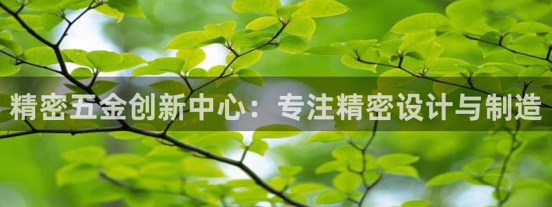 彩神v争霸是啥