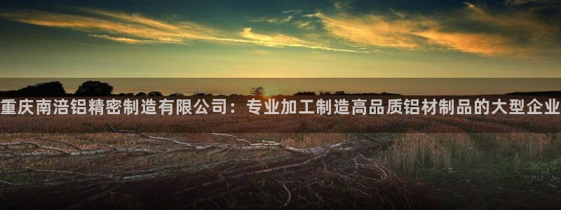 彩神vll趣投彩：重庆南涪铝精密制造有限公司：专业加工制造高品质铝材制品的大型企业