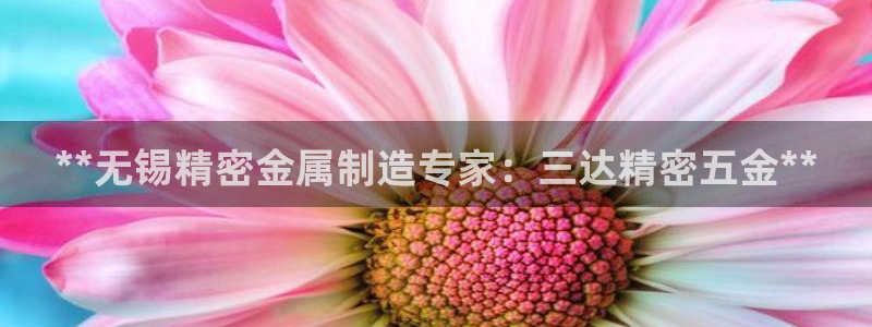 彩神系列平台：**无锡精密金属制造专家：三达精密五金**