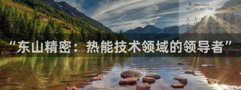 彩神平台之间是什么关系：“东山精密：热能技术领域的领导者”
