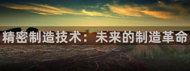 彩神到底能不能赚钱：精密制造技术：未来的制造革命