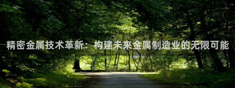 彩神viii下载安卓：精密金属技术革新：构建未来金属制造业的无限可能