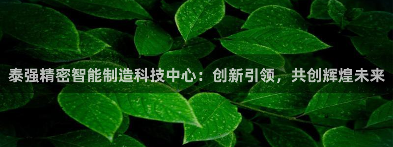 彩神赢的钱是哪里来的啊：泰强精密智能制造科技中心：创新引领，共创辉煌未来