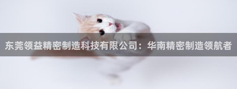 彩神ix官网：东莞领益精密制造科技有限公司：华南精密制造领航者