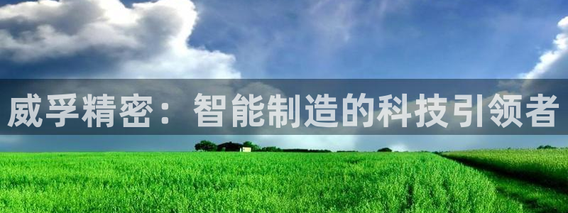 彩神赢的钱是哪里来的：威孚精密：智能制造的科技引领者