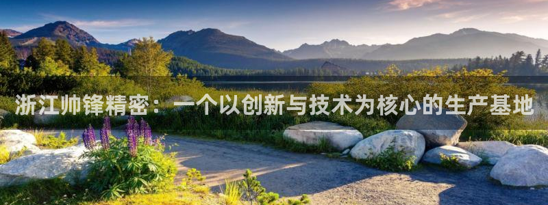 彩神8下载安卓版-彩神8(可提现)官网版1.0.0：浙江帅锋精密：一个以创新与技术为核心的生产基地