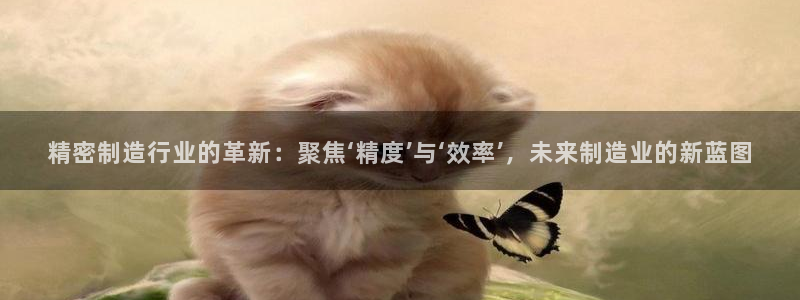 彩神vll首页企业文化：精密制造行业的革新：聚焦‘精度’与‘效率’，未来制造业的新蓝图