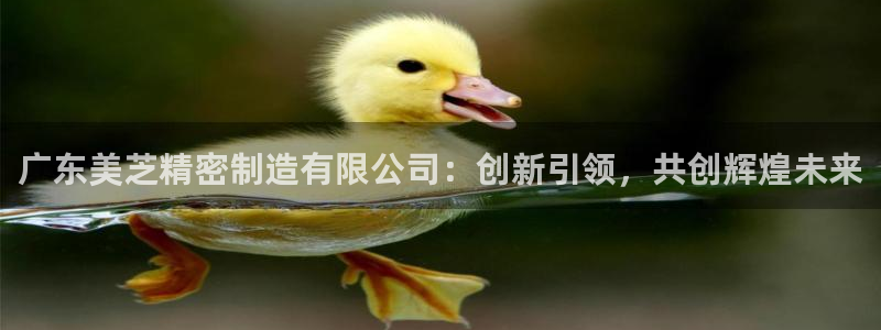 彩神vll首页环球：广东美芝精密制造有限公司：创新引领，共创辉煌未来