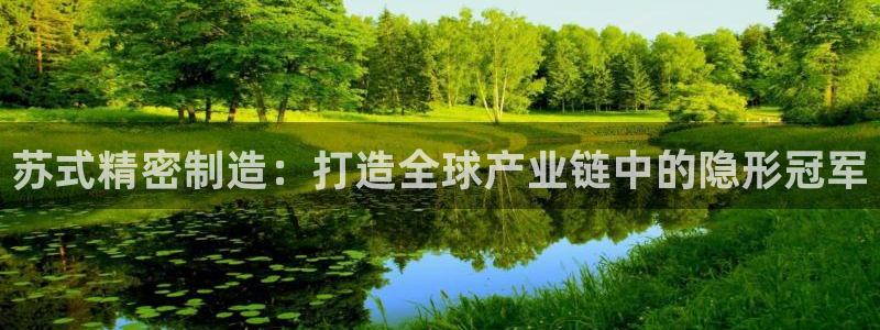 新版彩神v8登录不了：苏式精密制造：打造全球产业链中的隐形冠军