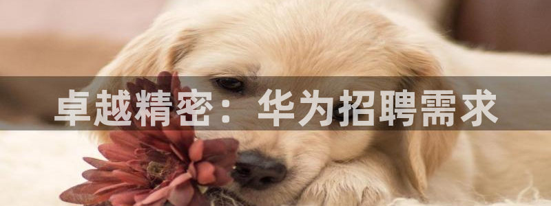 彩神争霸官网登录平台：卓越精密：华为招聘需求