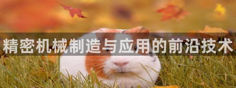 彩神8官网版：精密机械制造与应用的前沿技术