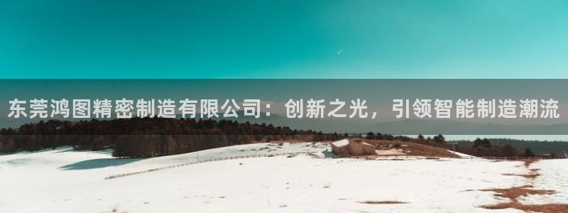彩神平台：东莞鸿图精密制造有限公司：创新之光，引领智能制造潮流