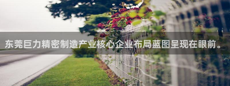 彩神x平台靠什么盈利：东莞巨力精密制造产业核心企业布局蓝图呈现在眼前。