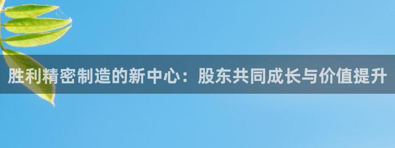 彩神正规吗：胜利精密