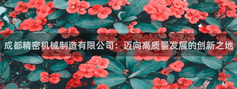 彩神v8是一个什么平台啊：成都精密机械制造有限公司：迈向高质量发展的创新之地