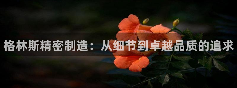 彩神网官网登录：格林斯精密制造：从细节到卓越品质的追求