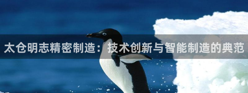 彩神争霸官方下载：太仓明志精密制造：技术创新与智能制造的典范