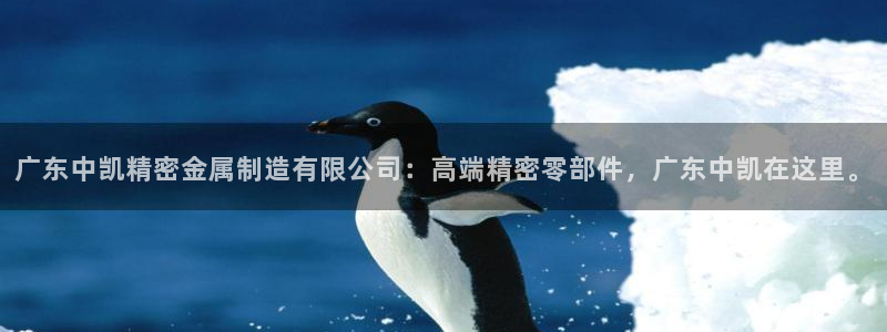 彩神8app官方下载：广东中凯精密金属制造有限公司：高端精密零部件，广东中凯在这里。