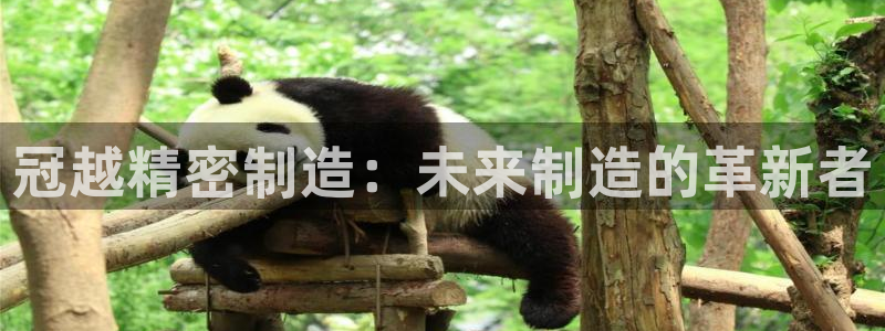彩神大发cp：冠越精密制造：未来制造的革新者