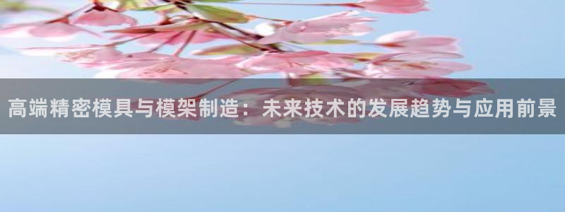 彩神ⅴll用户登录：高端精密模具与模架制造：未来技术的发展趋势与应用前景