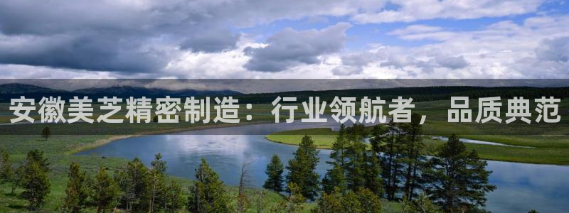 彩神V3大赢家：安徽美芝精密制造：行业领航者，品质典范