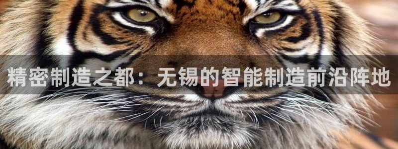 彩神V官网：精密制造之都：无锡的智能制造前沿阵地