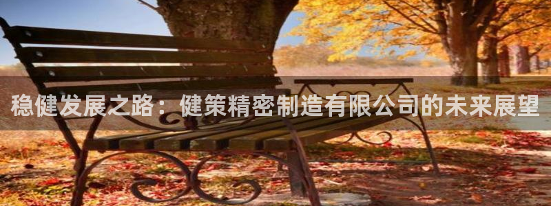 彩神网可以赚钱是真的吗：稳健发展之路：健策精密制造有限公司的未来展望