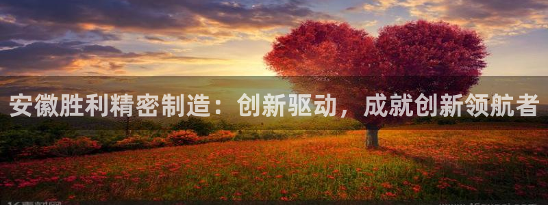 彩神vip购彩大厅在哪：安徽胜利精密制造：创新驱动，成就创新领航者