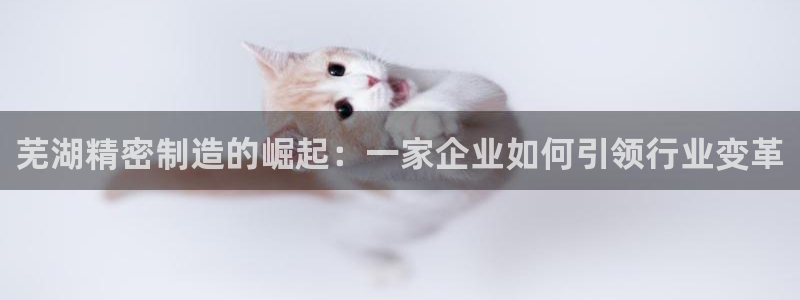 彩神ios下载：芜湖精密制造的崛起：一家企业如何引领行业变革