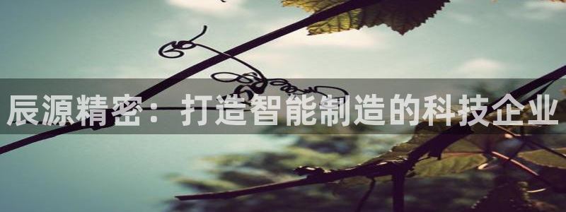 彩神官方网站登录是多少：辰源精密：打造智能制造的科技企业