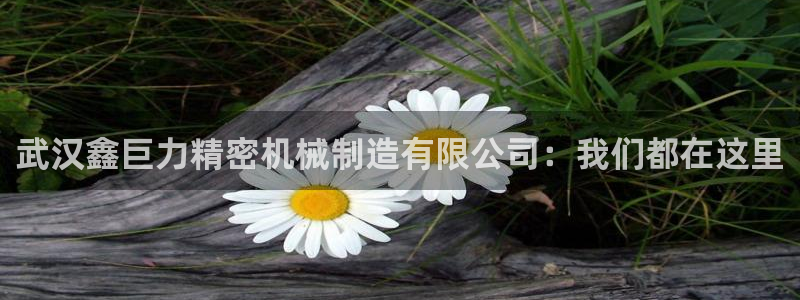 彩神v集团有限公司：武汉鑫巨力精密机械制造有限公司：我们都在这里