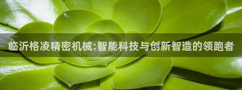彩神大发cp：临沂格凌精密机械:智能科技与创新智造的领跑者